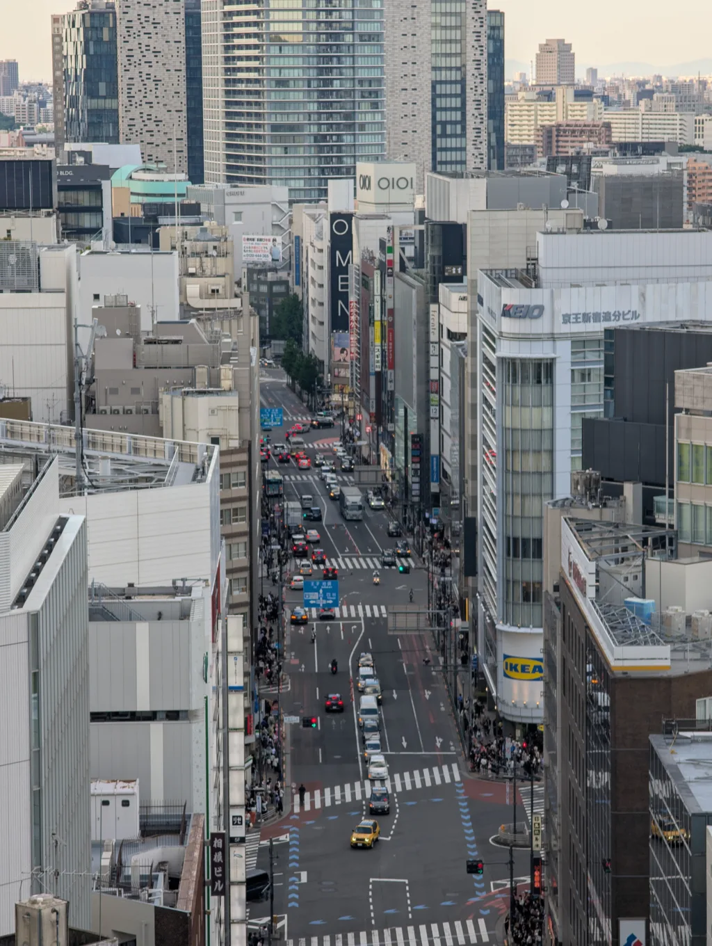 Challenges Faced by Foreigners Living in Japan