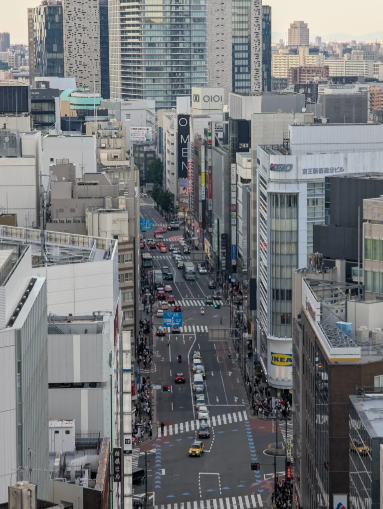 Challenges Faced by Foreigners Living in Japan