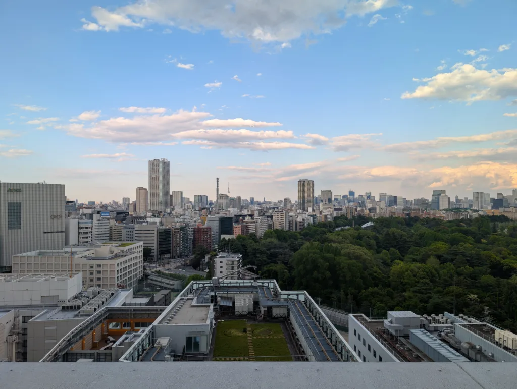 Why Japanese People May Struggle to Express Emotions