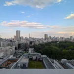 Why Japanese People May Struggle to Express Emotions