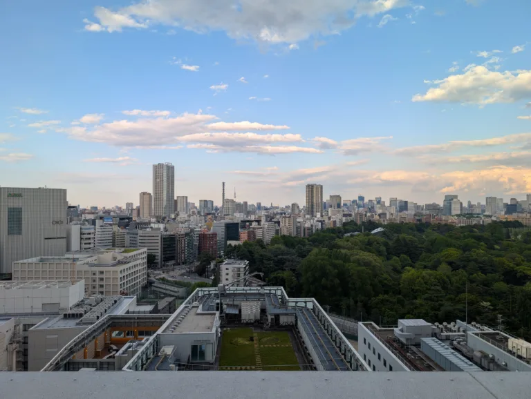 Why Japanese People May Struggle to Express Emotions
